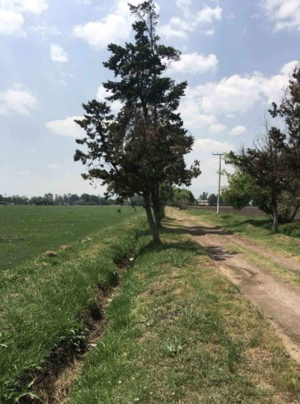 Captura de pantalla 2025 03 19 a las 8.24.53 p.m